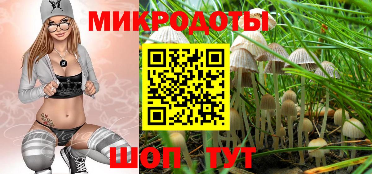 Псилоцибиновые грибы Cubensis  Вход с VPN  Юрга 