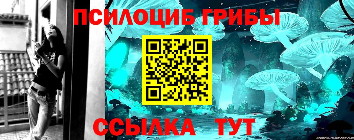 Галлюциногенные грибы Magic Shrooms Юрга